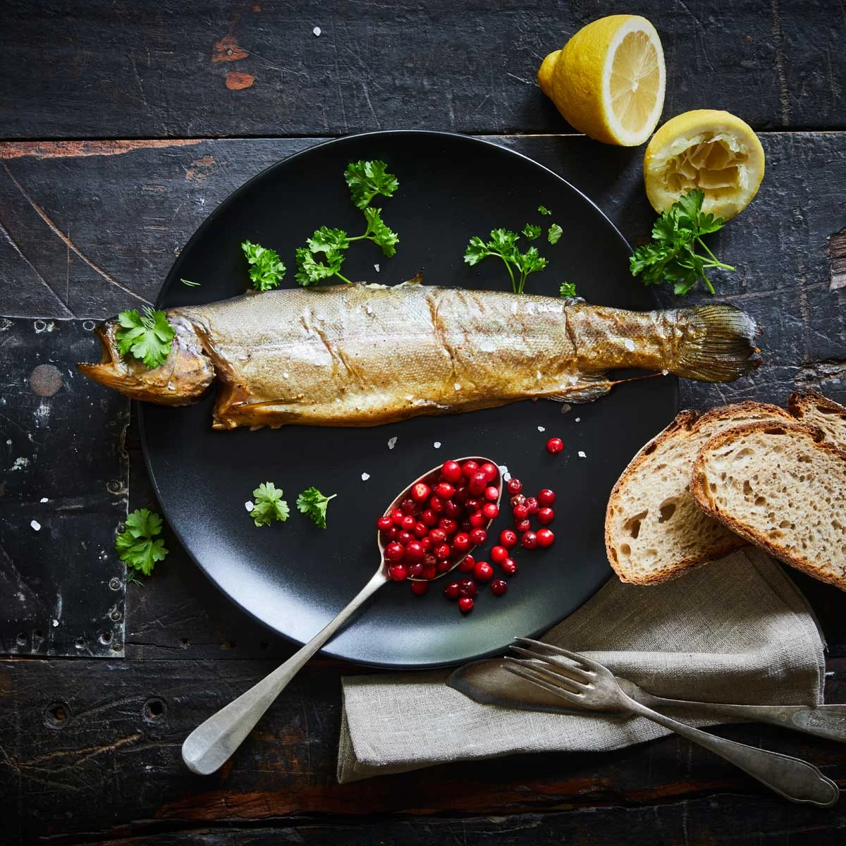 Borniak Räucherofen Simple UWD-150 Version 1.4 1 Borniak Räucherofen Simple UWD-150 Version 1.4