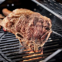 Enders Chicago 3 R Turbo 13 Enders Chicago 3 R Turbo -Broil King Verkäufe enders chicago 3 r turbo 99d05c01326528d49efbff46d1d9add3