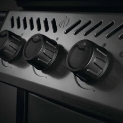 Napoleon Freestyle 425, 4 Hauptbrenner, Mit Sizzle Zone Seitenbrenner, Graphit 21 Napoleon Freestyle 425, 4 Hauptbrenner, Mit Sizzle Zone Seitenbrenner, Graphit -Broil King Verkäufe napoleon freestyle 425 4 hauptbrenner mit sizzle zone seitenbrenner graphit 20c7cb3c006a738a4d7762835f80460a