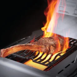 Napoleon Gasgrill Prestige 665, Edelstahl 12 Napoleon Gasgrill Prestige 665, Edelstahl -Broil King Verkäufe napoleon prestige p665rsibpss edelstahl 86c258b56293bfa624afb292d061b043