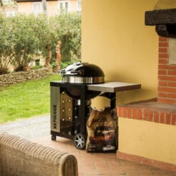 Napoleon Pro Charcoal Cart 18 Napoleon Pro Charcoal Cart -Broil King Verkäufe napoleon pro22k cart 2 9f024b16558eda52184d5350e44b5309