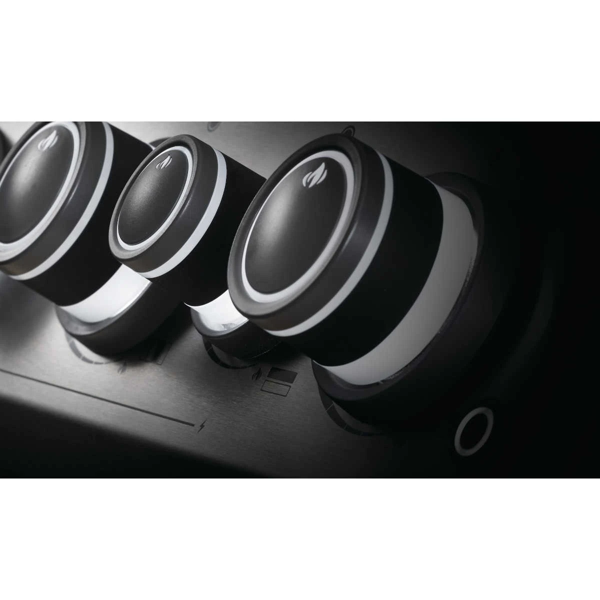 Napoleon Rogue SE 425 Mit Gussrosten Inkl. Drehspieß, Schwarz 5 Napoleon Rogue SE 425 Mit Gussrosten Inkl. Drehspieß, Schwarz – Bild 5